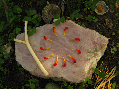 rosenquarz